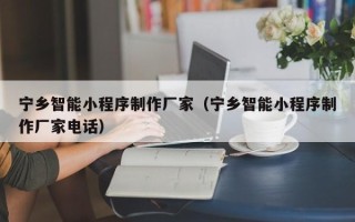 邹平宁乡智能小程序制作厂家（宁乡智能小程序制作厂家电话）