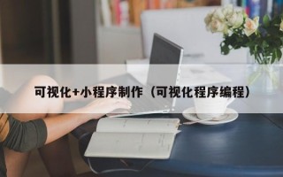 邹平可视化+小程序制作（可视化程序编程）